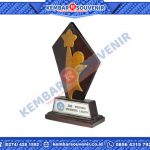 Plakat Juara Lomba DPRD Kabupaten Mappi